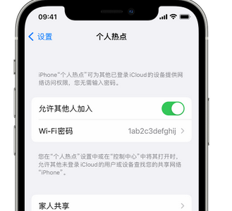 保靖apple服务站点分享iPhone上个人热点丢失了怎么办 