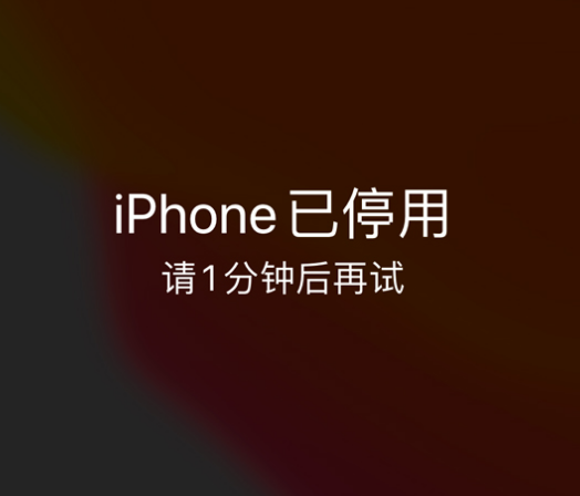 保靖苹果手机维修分享:iPhone 显示“不可用”或“已停用”怎么办？还能保留数据吗？ 