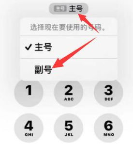 保靖苹果14维修店分享iPhone 14 Pro Max使用副卡打电话的方法 