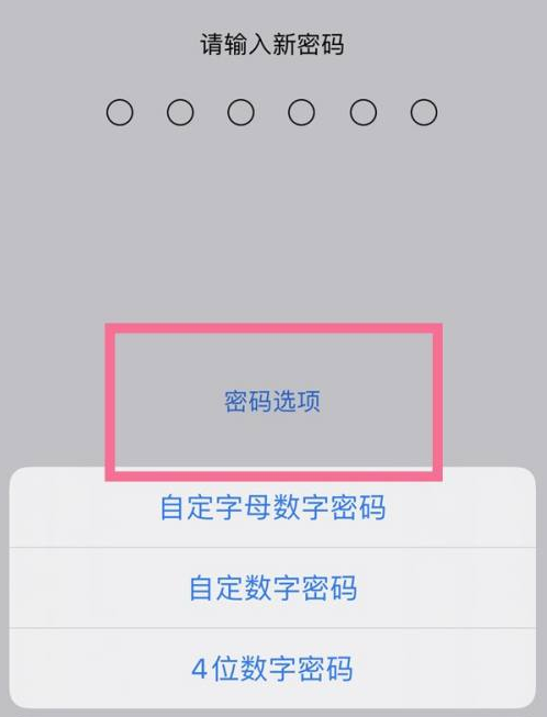 保靖苹果14维修分享iPhone 14plus设置密码的方法 