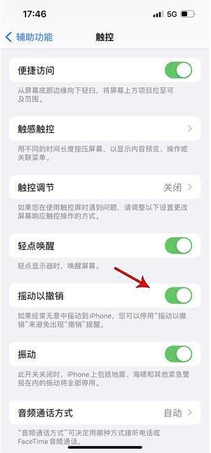 保靖苹果手机维修分享iPhone手机如何设置摇一摇删除文字 